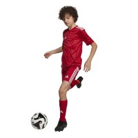 adidas Team Icon 25 Short Trikot Kinder - tepore/white