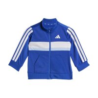 adidas Seasonal Essentials Tiberio 3 Stripes Tricot Trainingsanzug Baby - royblu/globlu/white