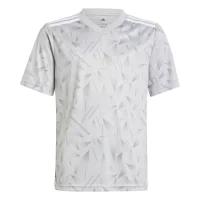 tmlggr/white