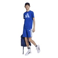 adidas Essentials T-Shirt Kinder - royblu/blufus/globlu