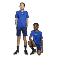 adidas Train Essentials 3-Stripes T-Shirt Set Kinder - royblu/white