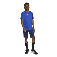 adidas Train Essentials 3-Stripes T-Shirt Set Kinder - royblu/white