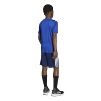 adidas Train Essentials 3-Stripes T-Shirt Set Kinder - royblu/white