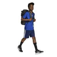 adidas Train Essentials 3-Stripes T-Shirt Set Kinder - royblu/white