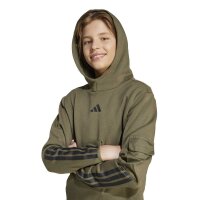 adidas Utility Pack Fleece Hoodie Kinder - olistr/black