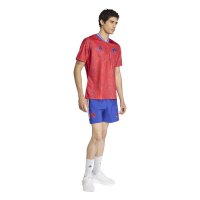 adidas Frankreich Rugby Prematch Trikot Herren - colred