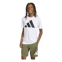 adidas Train Essentials Big Logo T-Shirt Kinder -...
