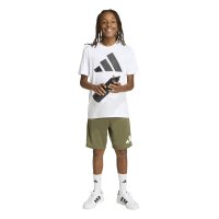 adidas Train Essentials Big Logo T-Shirt Kinder - white/black
