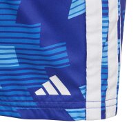 adidas Football-Inspired Graphic Badeshorts Kinder - lucblu/white