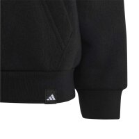 adidas Terrex Multi Logo Hoodie Kinder - black