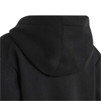 adidas Terrex Multi Logo Hoodie Kinder - black