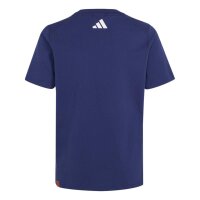 adidas Minecraft Terrex T-Shirt Kinder - dkblue