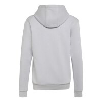 adidas Minecraft Terrex Hoodie Kinder - lgsogr