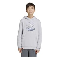 adidas Minecraft Terrex Hoodie Kinder - lgsogr