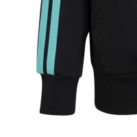 adidas Mercedes-AMG Petronas Formel 1 Team Dna Kapuzenjacke Kinder - black/semiru