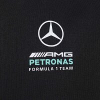 adidas Mercedes-AMG Petronas Formel 1 Team Dna Kapuzenjacke Kinder - black/semiru