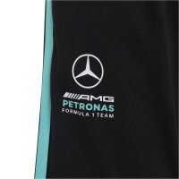 adidas Mercedes-AMG Petronas Formel 1 Team Dna kurze Hose Kinder - black/semiru
