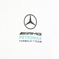 adidas Mercedes-AMG Petronas Formel 1 Team Dna Short Sleeve Trainingshose Baby - white/semiru