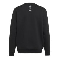 adidas Mercedes-AMG Petronas Formel 1 Team Kimi Antonelli Graphic Sweatshirt Kinder - black
