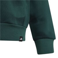 adidas Terrex Multi Printed Logo Hoodie Kinder - cgreen