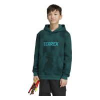 adidas Terrex Multi Printed Logo Hoodie Kinder - cgreen
