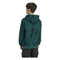 adidas Terrex Multi Printed Logo Hoodie Kinder - cgreen