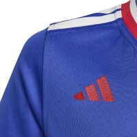 adidas Frankreich Rugby Heim replica Trikot Kinder - selubl