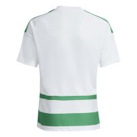adidas Hooped26 Trikot Kinder - white/teagrn