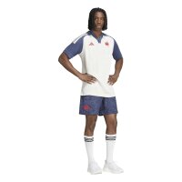 adidas Ffr Training Trikot Herren - crewht/shanav
