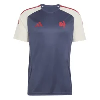 adidas Ffr Performance Tee Trikot Herren - shanav/crewht
