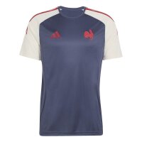 adidas Ffr Performance Tee Trikot Herren - shanav/crewht