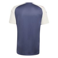 adidas Ffr Performance Tee Trikot Herren - shanav/crewht