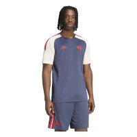 adidas Ffr Performance Tee Trikot Herren - shanav/crewht