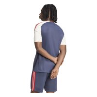 adidas Ffr Performance Tee Trikot Herren - shanav/crewht