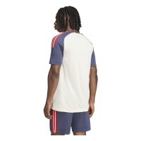 adidas Ffr Performance Tee Trikot Herren - crewht/shanav
