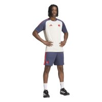adidas Ffr Performance Tee Trikot Herren - crewht/shanav