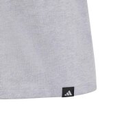 adidas Mercedes-AMG Petronas Formel 1 Team Graphic 01 T-Shirt Kinder - lgreyh