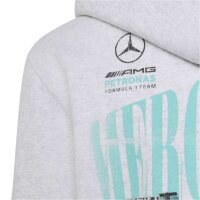 adidas Mercedes-AMG Petronas Formel 1 Team Graphic 01 Hoodie Kinder - lgreyh