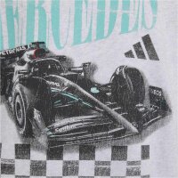 adidas Mercedes-AMG Petronas Formel 1 Team Graphic 01 Hoodie Kinder - lgreyh