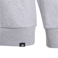 adidas Mercedes-AMG Petronas Formel 1 Team Graphic 01 Hoodie Kinder - lgreyh