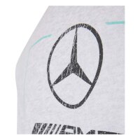 adidas Mercedes-AMG Petronas Formel 1 Team Graphic 02 Hoodie Kinder - lgreyh