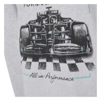 adidas Mercedes-AMG Petronas Formel 1 Team Graphic 02 Hoodie Kinder - lgreyh