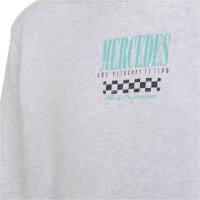 adidas Mercedes-AMG Petronas Formel 1 Team Graphic 02 Hoodie Kinder - lgreyh