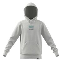 adidas Mercedes-AMG Petronas Formel 1 Team Graphic 02 Hoodie Kinder - lgreyh