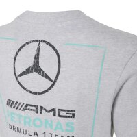 adidas Mercedes-AMG Petronas Formel 1 Team Graphic 02 T-Shirt Kinder - lgreyh