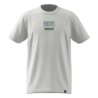 adidas Mercedes-AMG Petronas Formel 1 Team Graphic 02 T-Shirt Kinder - lgreyh