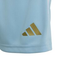 adidas Messi Training Shorts Kinder - iceblu