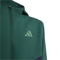 adidas Terrex Multi 2 Layer Climaproof Rain Jacken Kinder - cgreen