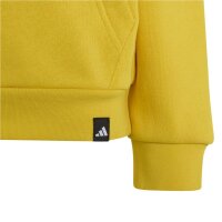 adidas Terrex Multi Logo Hoodie Kinder - utiyel