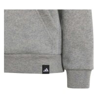 adidas Terrex Multi Logo Hoodie Kinder - mgreyh